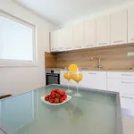 Luxury Sunset Penthouse With Seaview Petrcane